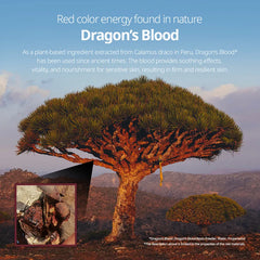 VT - Red Booster Reedle Shot 100 [50ml]